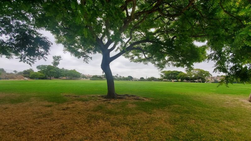 Palisades Park - Oceanside, CA