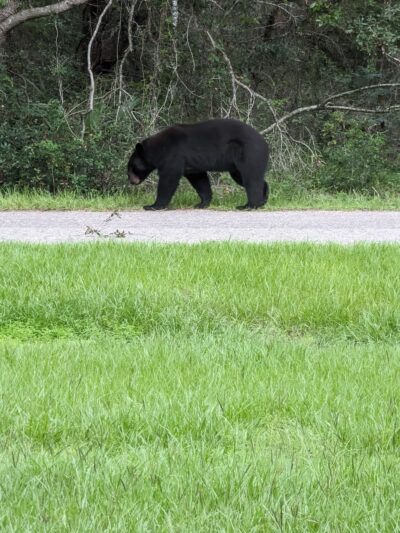 Ocklawaha Community Park - Ocklawaha, FL
