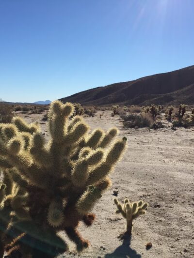 Ocotillo Community Park - Ocotillo, CA