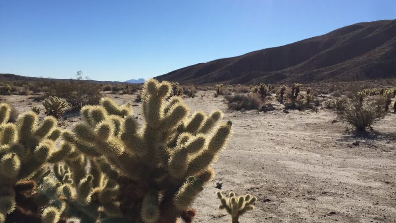 Ocotillo Community Park - Ocotillo, CA