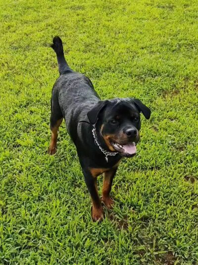 GORC Park - Odenton, MD