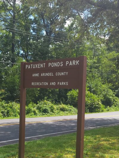 Patuxent Ponds Park - Odenton, MD