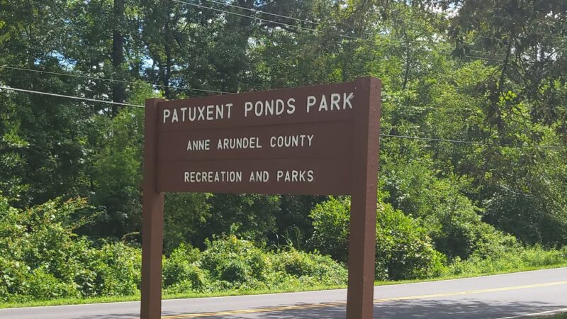 Patuxent Ponds Park - Odenton, MD