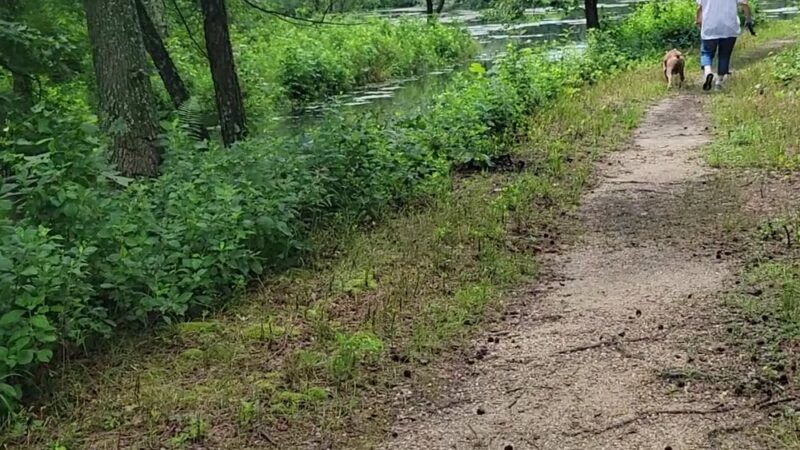Patuxent Ponds Park - Odenton, MD
