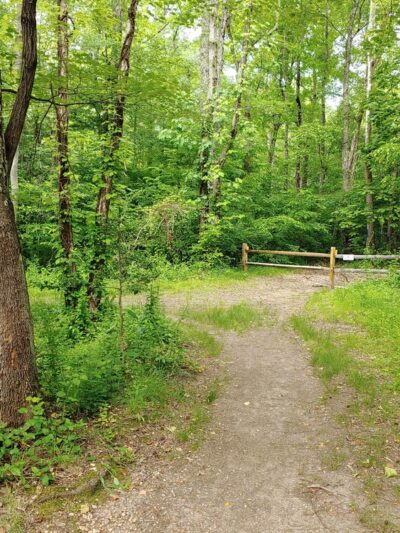Patuxent Ponds Park - Odenton, MD