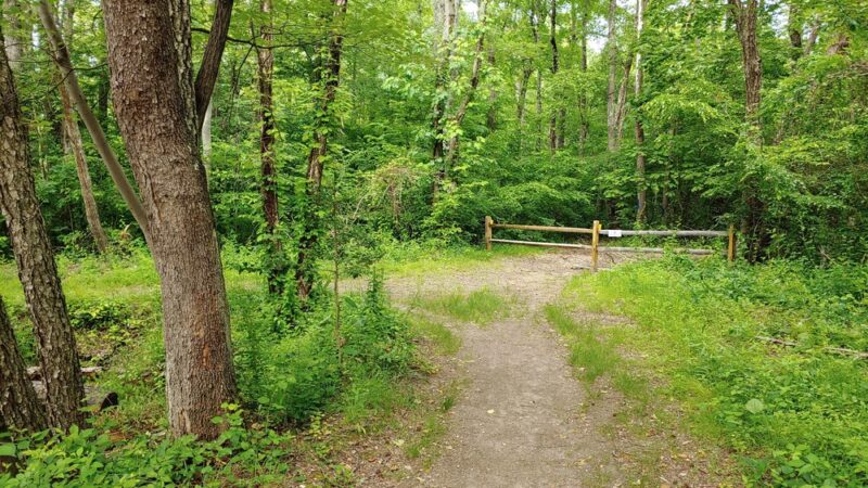 Patuxent Ponds Park - Odenton, MD