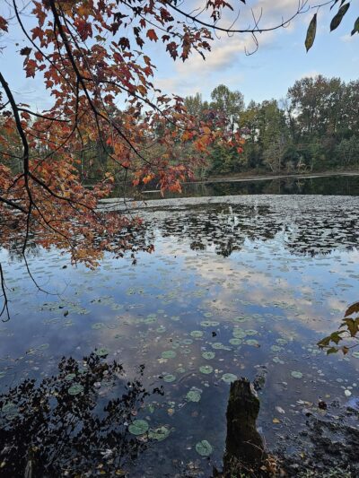 WB&A Trail Odenton - Odenton, MD