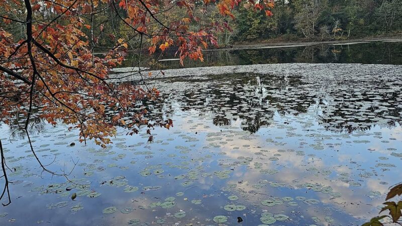 WB&A Trail Odenton - Odenton, MD