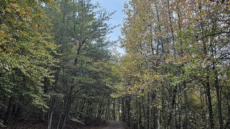 WB&A Trail Odenton - Odenton, MD