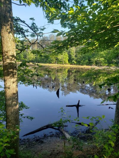 WB&A Trail Odenton - Odenton, MD