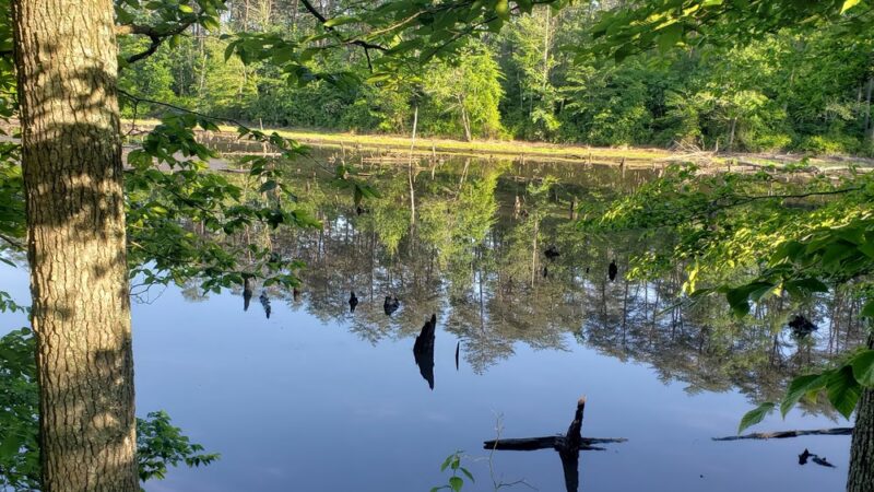WB&A Trail Odenton - Odenton, MD