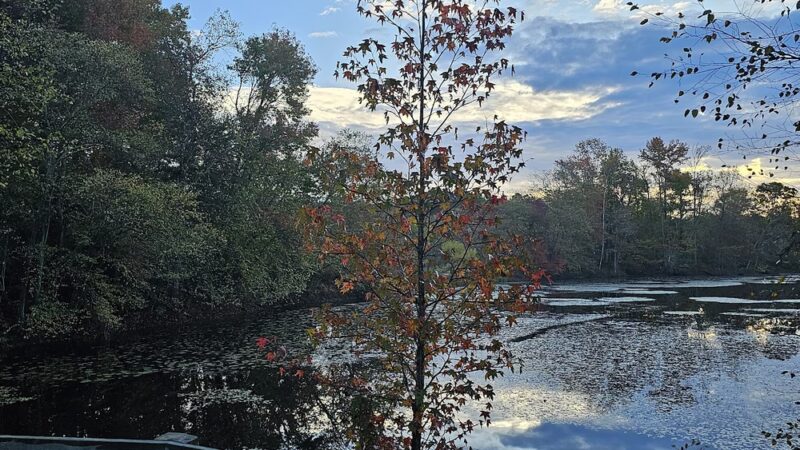 WB&A Trail Odenton - Odenton, MD