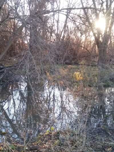Comanche Trail East - Odessa, TX