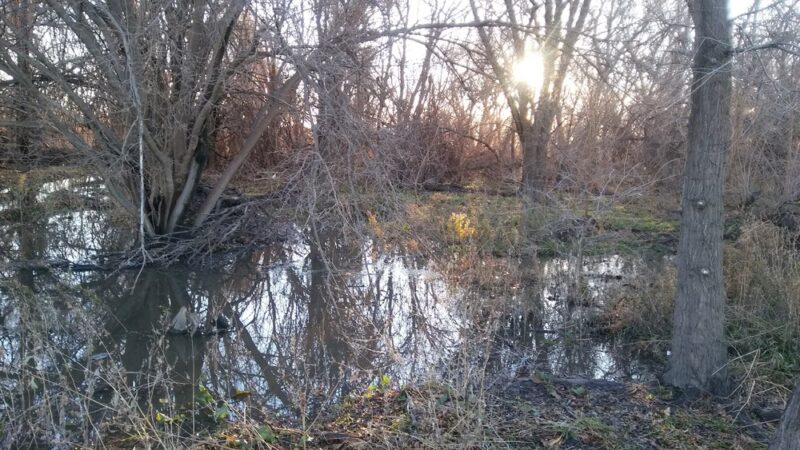 Comanche Trail East - Odessa, TX