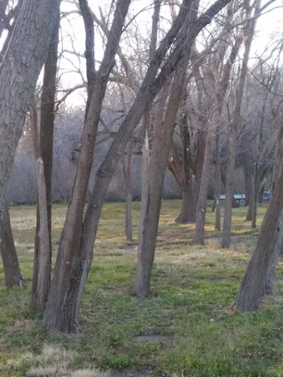 Comanche Trail East - Odessa, TX