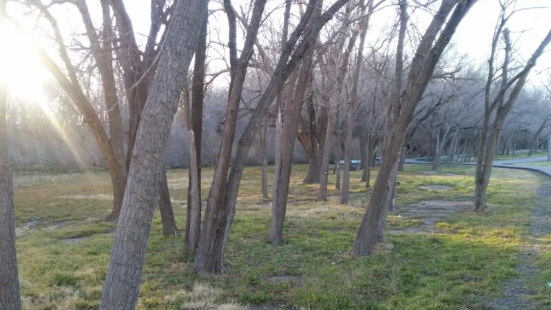 Comanche Trail East - Odessa, TX