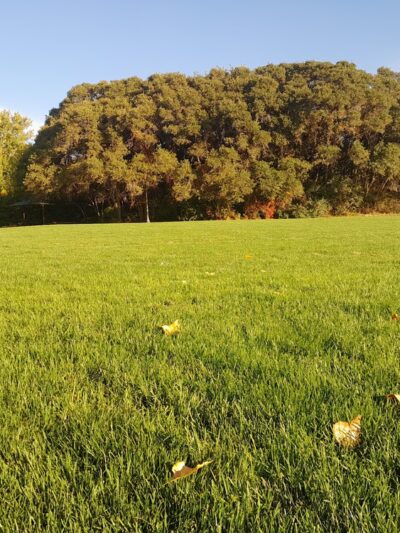 Glasmann Way Park - Ogden, UT