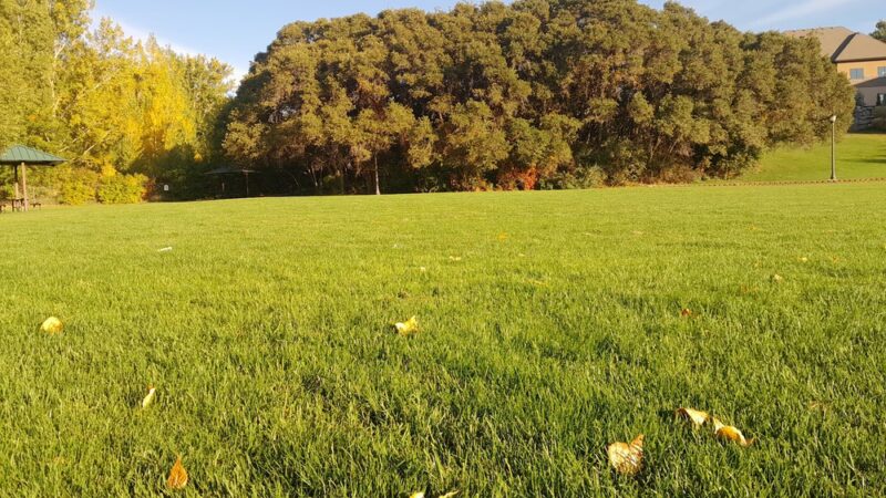 Glasmann Way Park - Ogden, UT