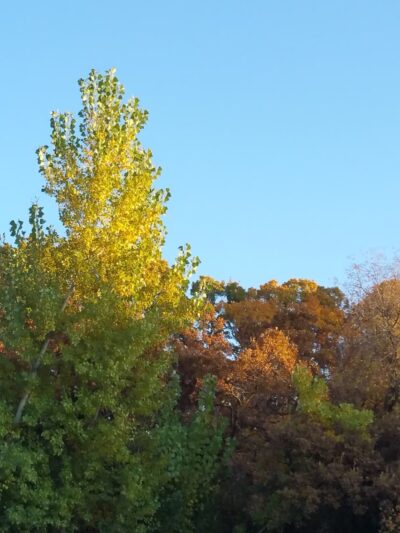 Glasmann Way Park - Ogden, UT