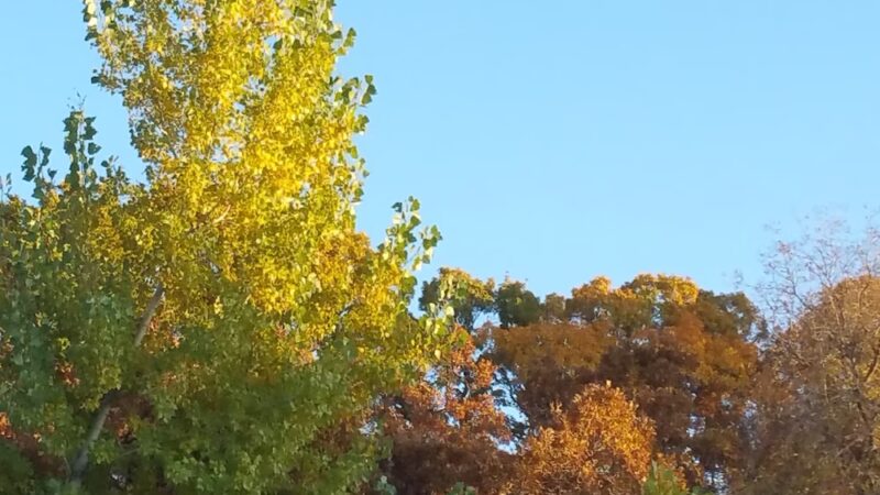 Glasmann Way Park - Ogden, UT