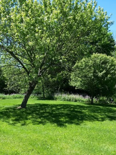Southover Park - Oil City, PA