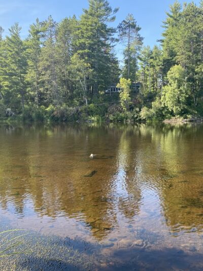 Ojibwa Park - Ojibwa, WI