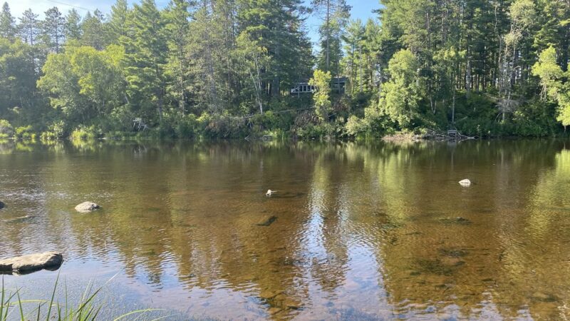 Ojibwa Park - Ojibwa, WI