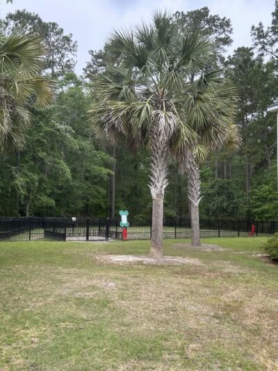 Dog park - Okatie, SC