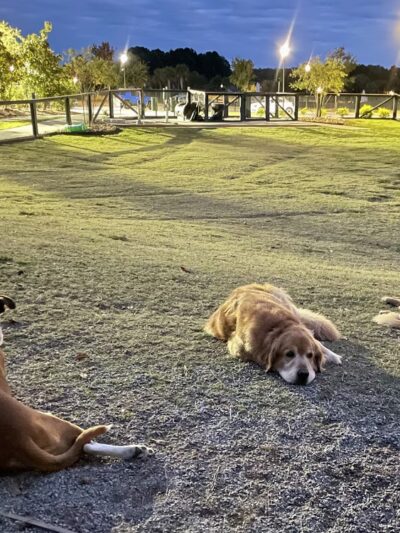 North Dog Park - Okatie, SC