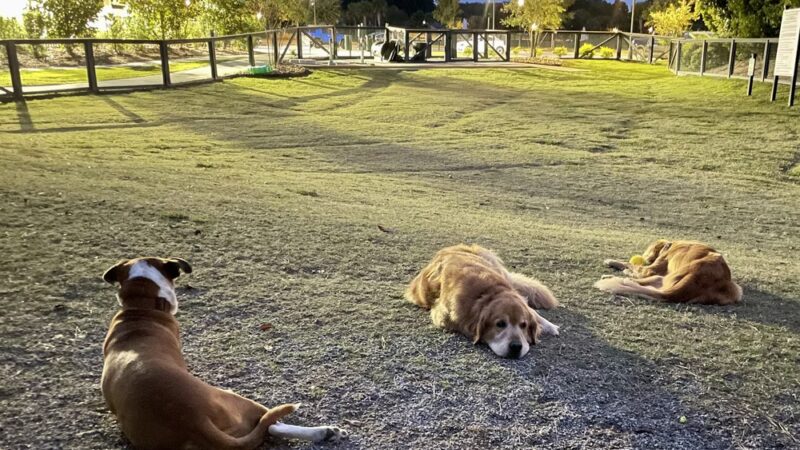 North Dog Park - Okatie, SC