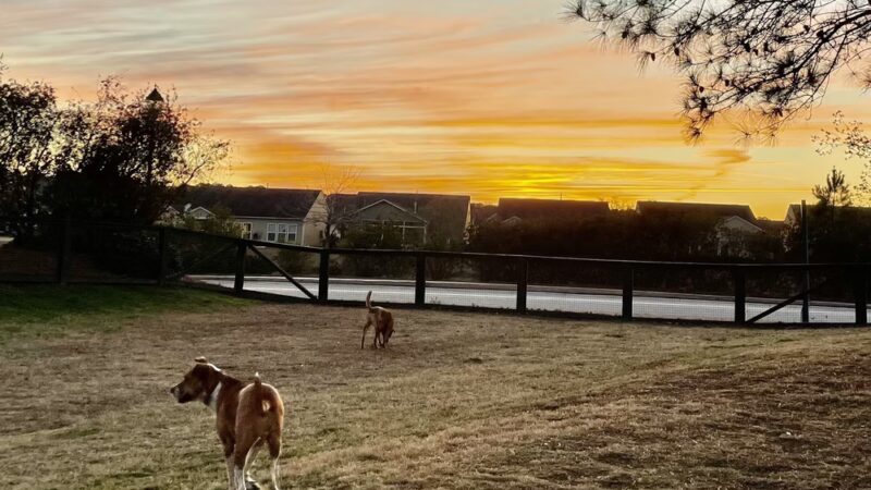 North Dog Park - Okatie, SC