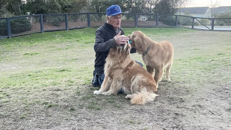 North Dog Park - Okatie, SC