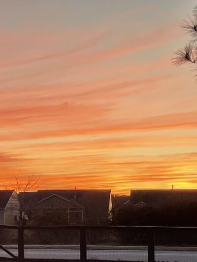 North Dog Park - Okatie, SC