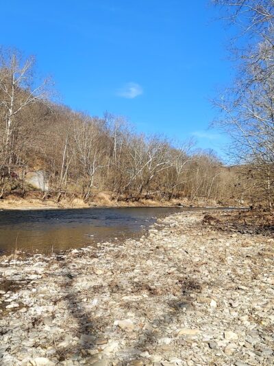 South Branch WMA (McNeill) - Old Fields, WV