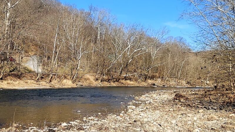 South Branch WMA (McNeill) - Old Fields, WV