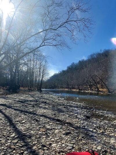 South Branch WMA (McNeill) - Old Fields, WV