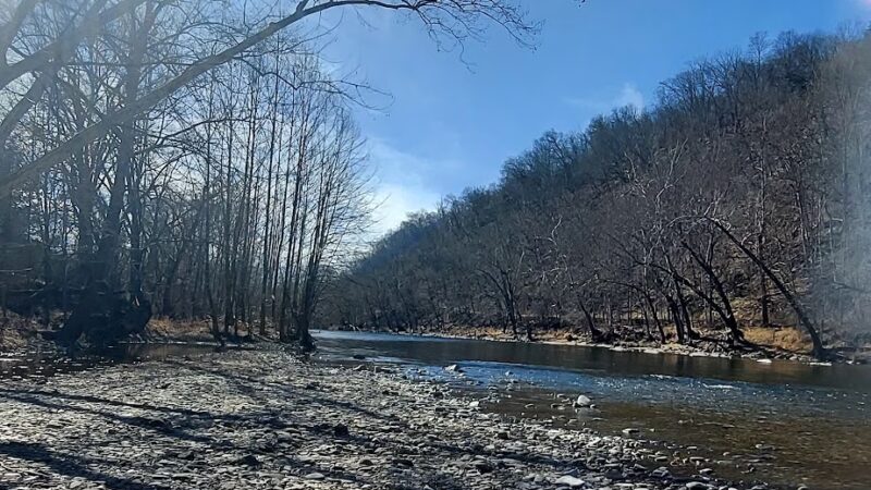 South Branch WMA (McNeill) - Old Fields, WV