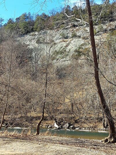 South Branch WMA (McNeill) - Old Fields, WV