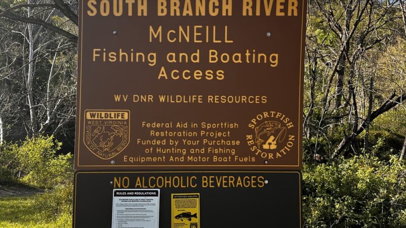 South Branch WMA (McNeill) - Old Fields, WV
