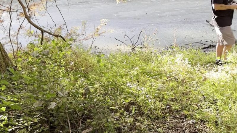 Old Hickory Trail - Old Hickory, TN