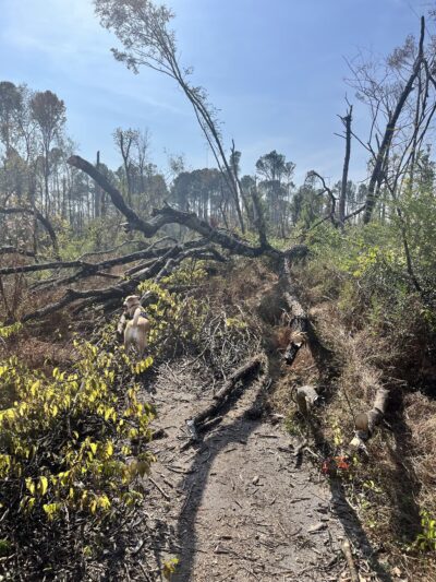 Old Hickory Trail - Old Hickory, TN