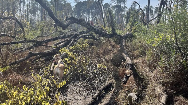 Old Hickory Trail - Old Hickory, TN