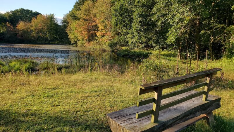McCulloch Family Open Space - Old Lyme, CT