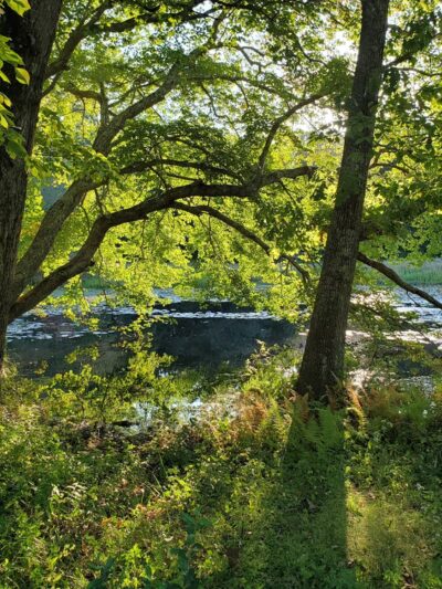 McCulloch Family Open Space - Old Lyme, CT