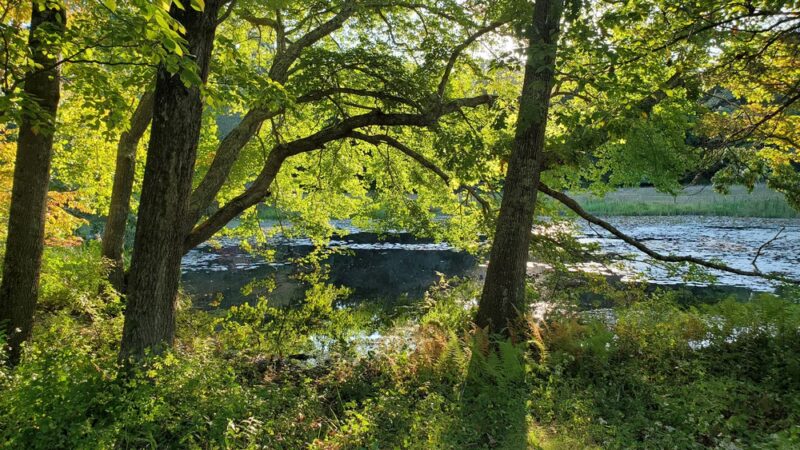 McCulloch Family Open Space - Old Lyme, CT