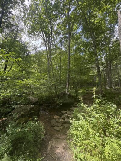 McCulloch Family Open Space - Old Lyme, CT