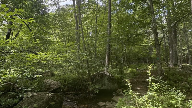 McCulloch Family Open Space - Old Lyme, CT