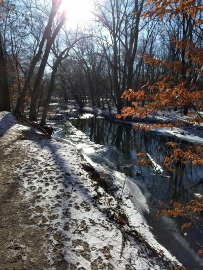 Bonnabel Nature Park - Old Tappan, NJ