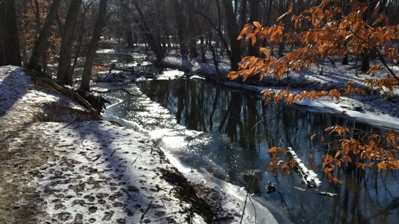 Bonnabel Nature Park - Old Tappan, NJ
