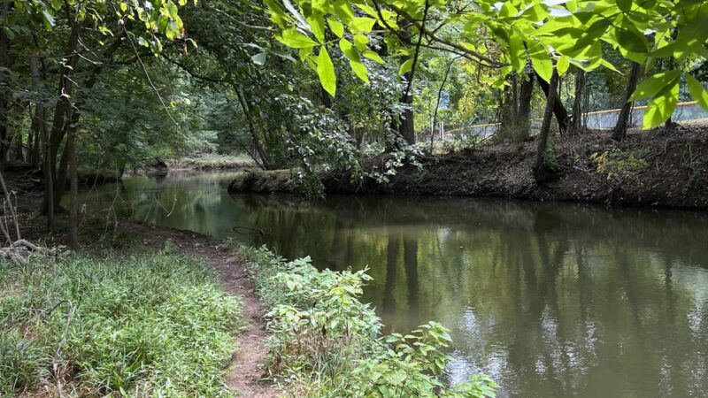 Bonnabel Nature Park - Old Tappan, NJ